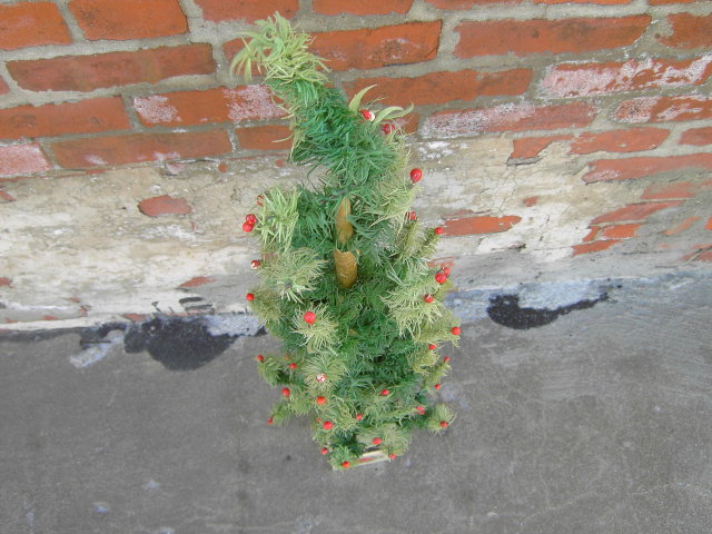 GOOSE FEATHER CHRISTMAS TREE GERMANY MADE HOLIDAY TABLE DECORATION POINSETTIA FLOWER HOLLY BERRY STENCILED WOOD BASE