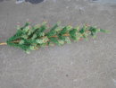 GOOSE FEATHER CHRISTMAS TREE GERMANY MADE HOLIDAY TABLE DECORATION POINSETTIA FLOWER HOLLY BERRY STENCILED WOOD BASE