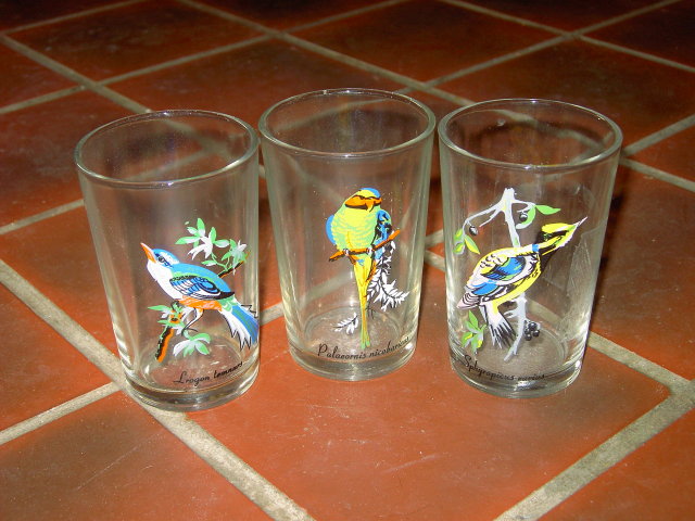 EXOTIC BIRD GLASS TUMBLER SET