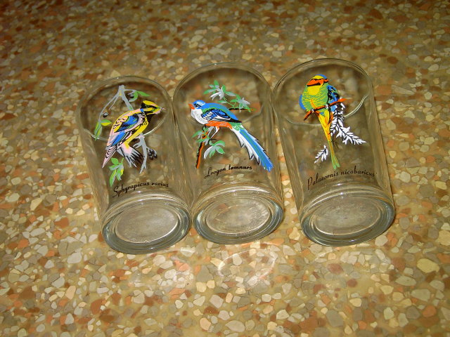 EXOTIC BIRD GLASS TUMBLER SET