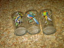 EXOTIC BIRD GLASS TUMBLER SET