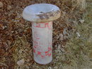 RALSTON PURINA CHICKEN BIRD FEEDER SEED TUBE GALVANIZED STEEL FEED TROUGH FARM POULTRY TOOL