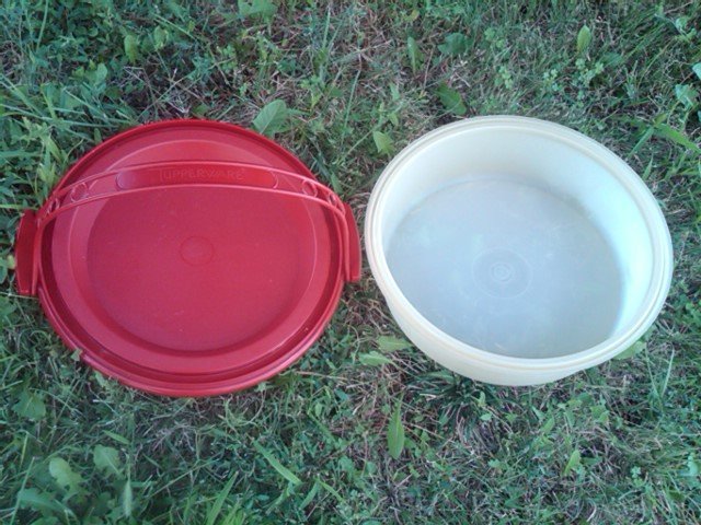 Retro Red Plastic Tupperware Pie Caddy Cake Dessert Carrier Bakery Transport Tub