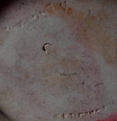 Antique Wedgwood Blue Jasperware Milk Pitcher