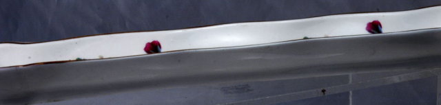 Pansy Pin Tray, Fine Bone China England
