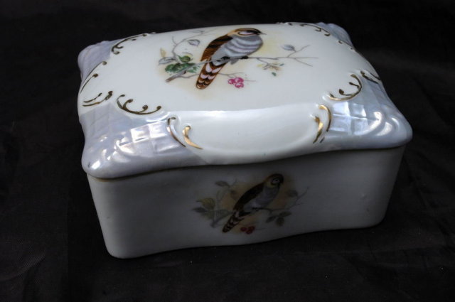 Porcelain Cigarette or Dresser Box, Hand painted Bird Design