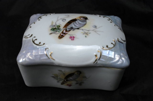 Porcelain Cigarette or Dresser Box, Hand painted Bird Design