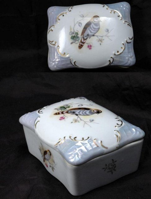 Porcelain Cigarette or Dresser Box, Hand painted Bird Design