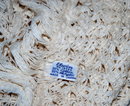 Beautiful Vintage Crochet Wrap, Shawl by Elwrin Made in Japan.