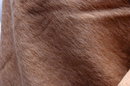 Brushed Alpaca Wool Scarf with Fringe from Peru