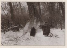 Edward S Curtis Native American Apsaroke ( Crow Indian) Lithograph of Original Photo 1908