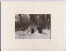 Edward S Curtis Native American Apsaroke ( Crow Indian) Lithograph of Original Photo 1908