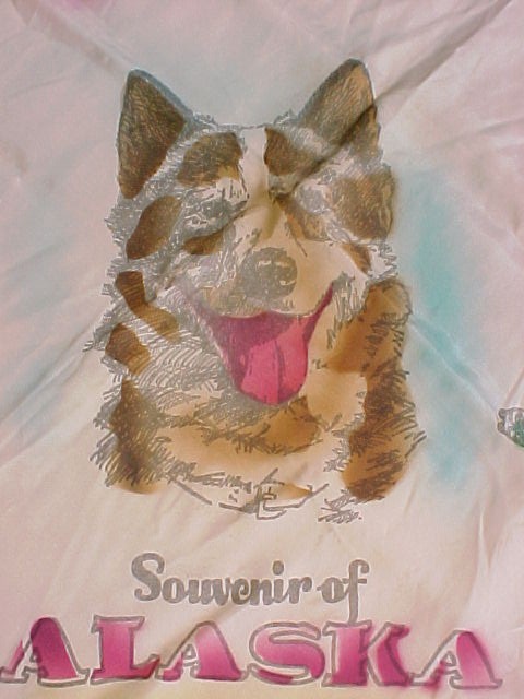 Alaska Husky Souvenir Scarf Vintage *Tinted*