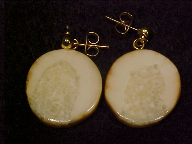 Scrimshaw Earrings Alaskan State Flower Forget-me-not on Antler Native Amercian Artist Signed D. Sims