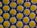 Daisy Afghan or Throw -crochet
