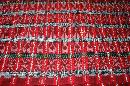 Hand Woven Fabric from Verapaces Guatemala Ikat Red , Black, White with Metallic Threads Per Yard