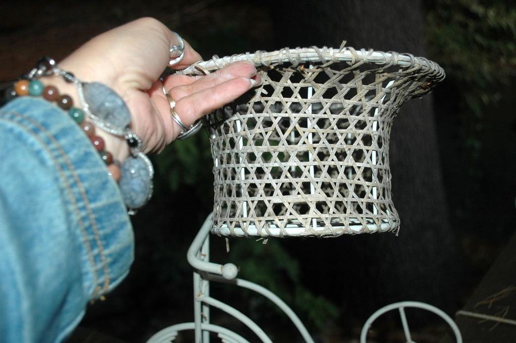 Garden Decor Small Metal Tricycle Woven Cane Basket Flower Basket Planter Planter Holder