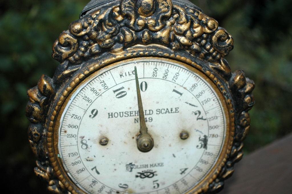 Victoiran Ornate Cast Iron Household Scale No. 49 Salter British Made 20 lbs.
