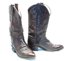 Dark Chocolate Brown Dan Post Cowboy Boots