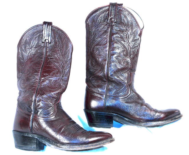 Dark Chocolate Brown Dan Post Cowboy Boots