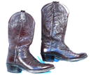 Dark Chocolate Brown Dan Post Cowboy Boots