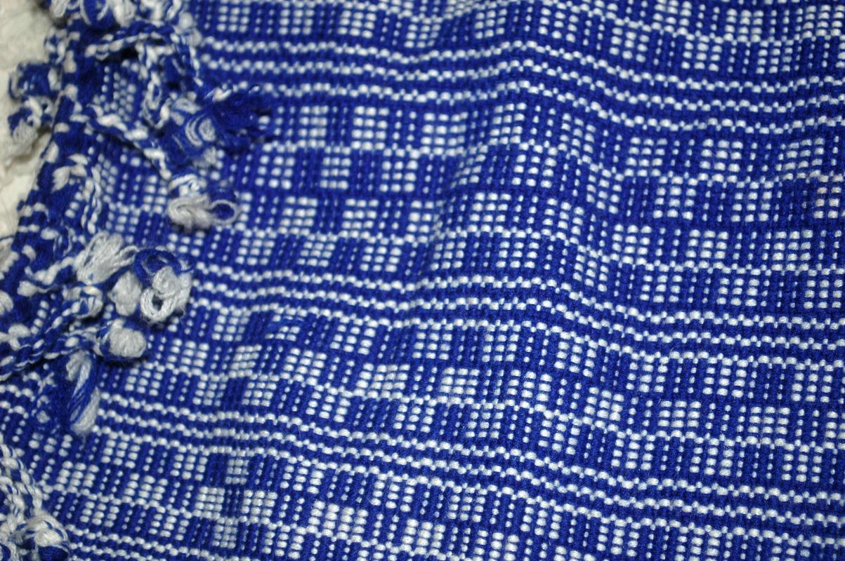Blue White Guatemalan Cotton Shoulder Bag from the Sierra de las Minas Biosphere Reserve, Hand Woven