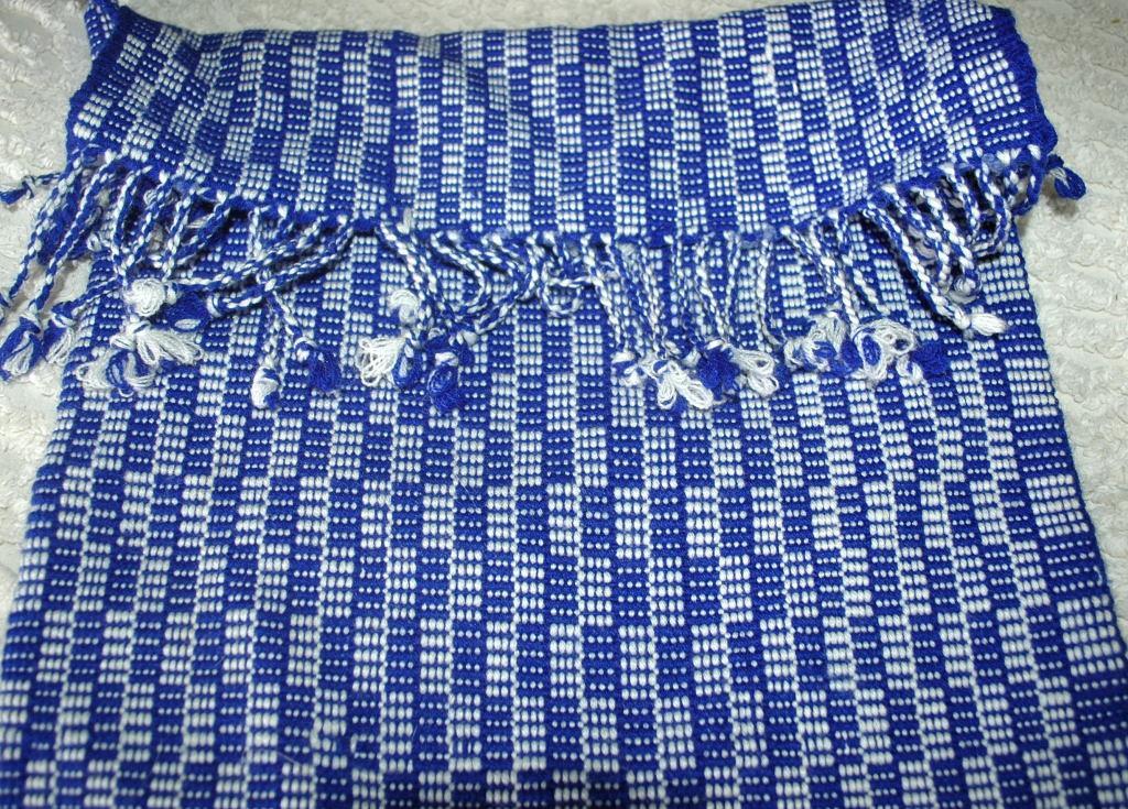Blue White Guatemalan Cotton Shoulder Bag from the Sierra de las Minas Biosphere Reserve, Hand Woven Free Shipping