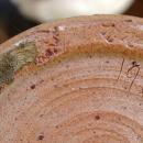 Stoneware Textured Climbing Frog Vase Signed M. Madsen & Elaine W / made with Mount Saint Helen's Ash Glaze