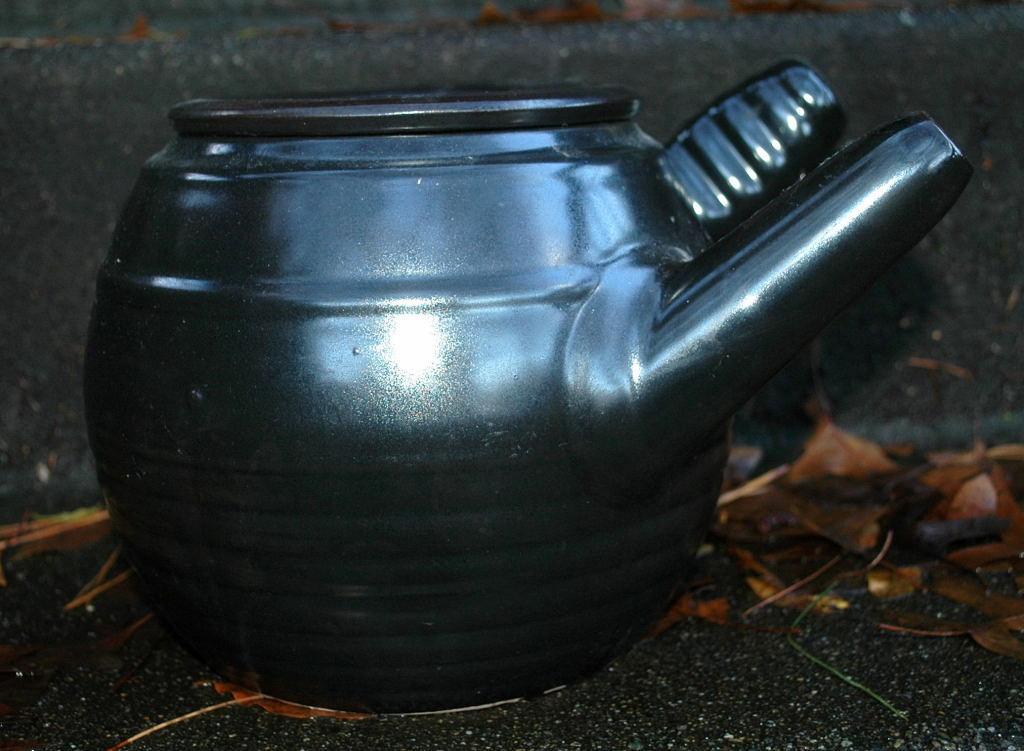 Large Japanese Teapot Yokode Kyusu Side Handle