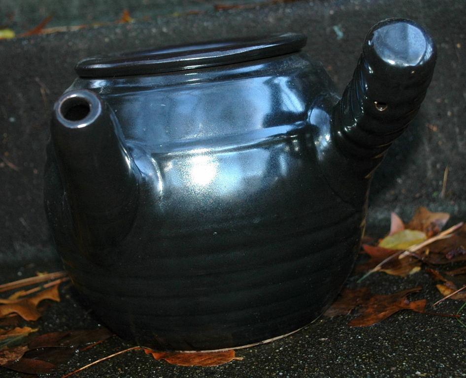 Large Japanese Teapot Yokode Kyusu Side Handle