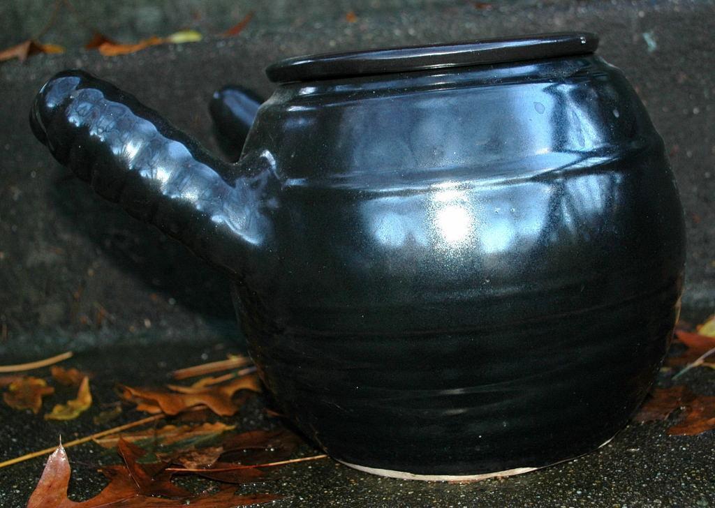 Large Japanese Teapot Yokode Kyusu Side Handle