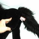 Douglas Cuddle Toy Black Stallion Horse Plush 19