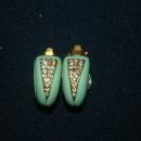 Darling 1/2 circle Green Enamal & Pave Crystal Earrings vintage Free Shipping