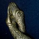 Demetre Chiparus~ Bronze French Art Deco Sculpture Statue Sea Goddess Dancer