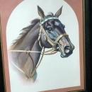 Race Horse Print in Frame Free shipping