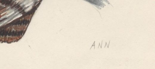 Pen Ink and Watercolor of Owl by Ann Ramhorst 1976 Free Shipping