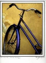 Fine Art Photograph Biciletta, Lucca Italy , Joanne West Photography