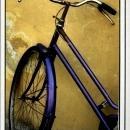Fine Art Photograph Biciletta, Lucca Italy , Joanne West Photography