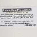 Fine Art Photograph Biciletta, Lucca Italy , Joanne West Photography