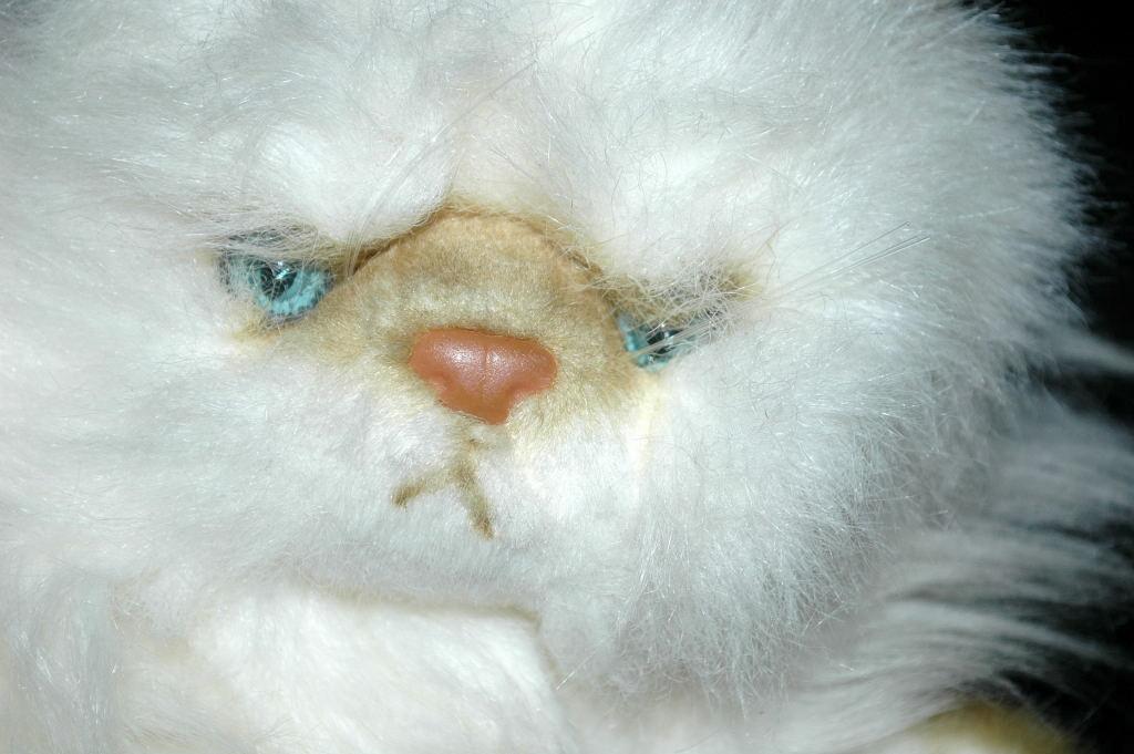 Yomiko Classics Long Haired Siamese Persian Cat 25