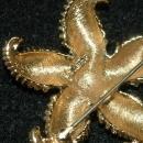 Monet Starfish Brooch Gold Tone Textured Ocean Life