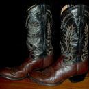 Tony Lama Brown on Brown 7 row stitched Cowboy Boots 9 D mens