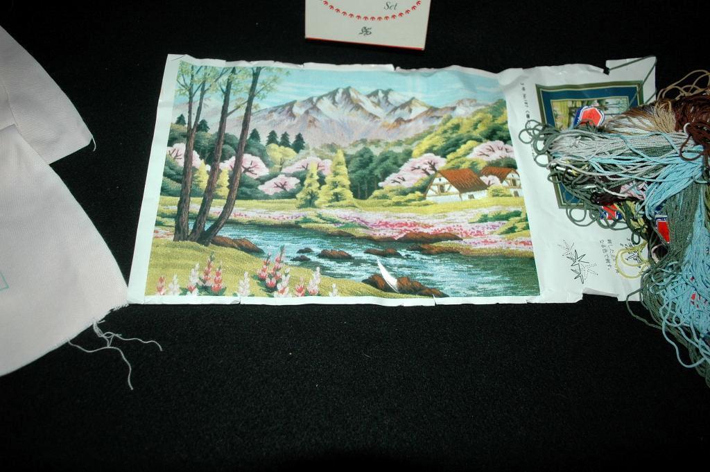 Vintage Japanese Tokyo Bunka Embroidery Kit unused in box size 3 # T187