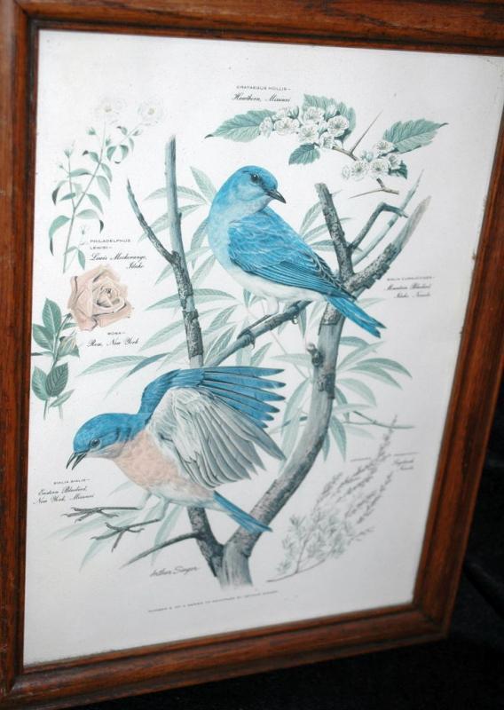 Vintage Framed Arthur Singer Print of Birds and Flowers. Blue Birds #2 in the series