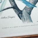 Vintage Framed Arthur Singer Print of Birds and Flowers. Blue Birds #2 in the series