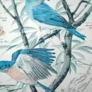 Vintage Framed Arthur Singer Print of Birds and Flowers. Blue Birds #2 in the series