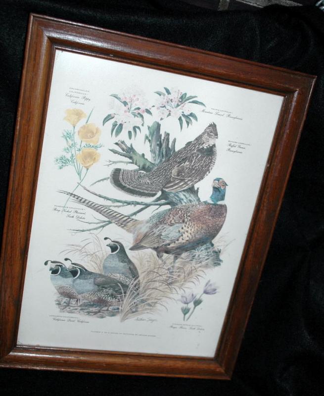 Vintage Framed Arthur Singer Print Birds, #3 in the series