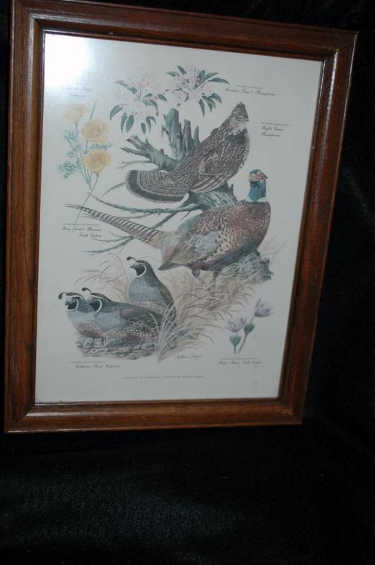 Vintage Framed Arthur Singer Print Birds, #3 in the series