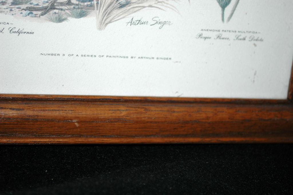 Vintage Framed Arthur Singer Print Birds, #3 in the series