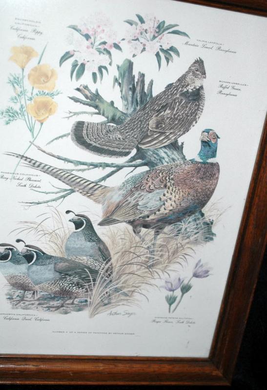 Vintage Framed Arthur Singer Print Birds, #3 in the series